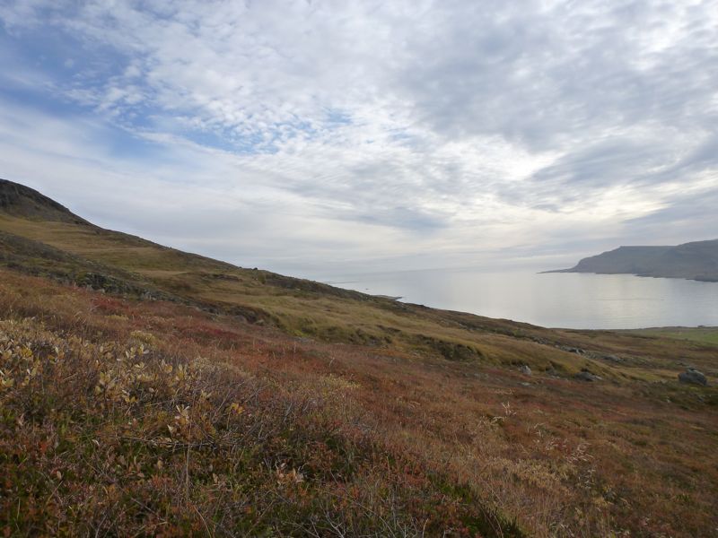 P1040560