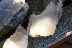 P1040464