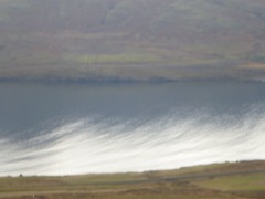 P1040544