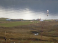 P1040561