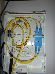 P1060554